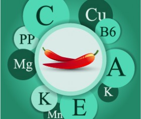 Healthy food with nutrition elements vector 18