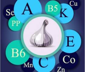 Healthy food with nutrition elements vector 19