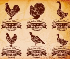 Poultry cuts labels vector material