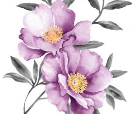 Purple peony watercolor vector