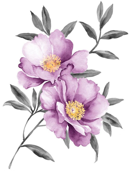 Purple peony watercolor vector