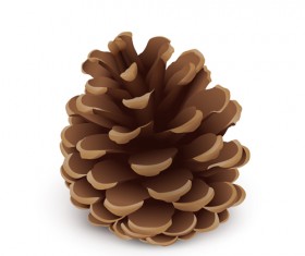 Realistlic pine cone vector material
