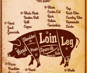 Vintage pork cuts labels vector material