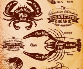 Vintage seafood cuts labels vector