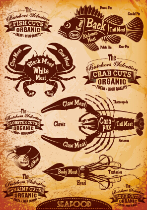 Vintage seafood cuts labels vector