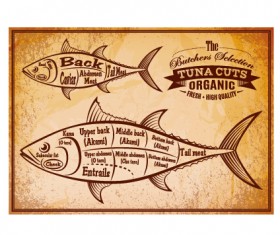 Vintage tuna cuts labels vector