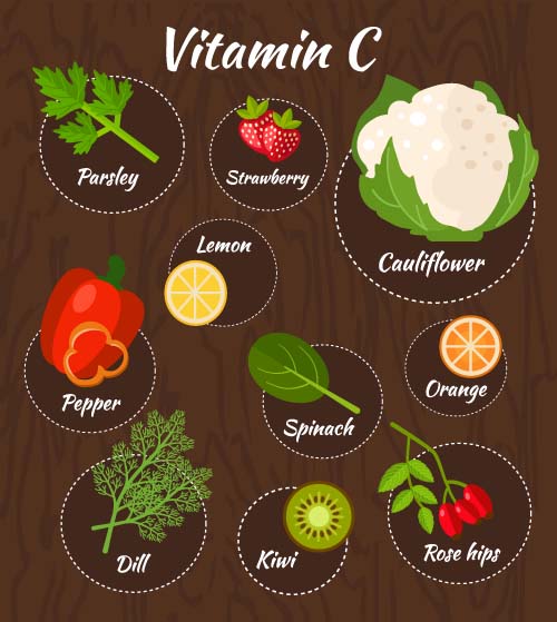 Vitamin with healthy diet vector material 01