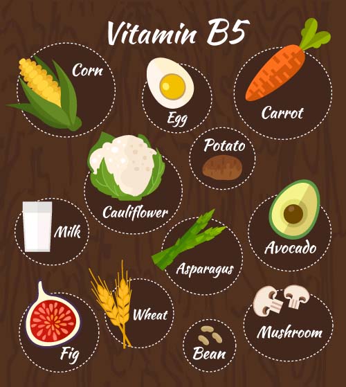 Vitamin with healthy diet vector material 02