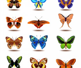 Beautiful butterflies vectors set