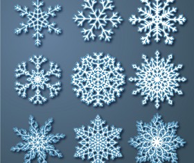 Beautiful snowflake pattern vectors 04