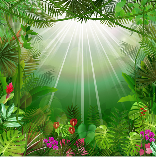 Beautiful tropical scenery vectors graphics 01