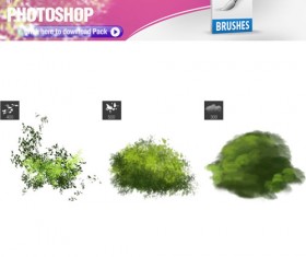 ranches leaves with cloud Photoshop brushes