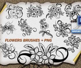 Flowers Ornaments Photoshop Brushes
