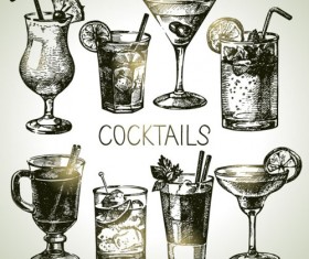 Hand drawn cocktail vector grphics