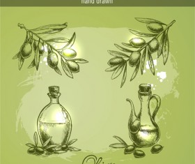 Hand drawn vintage olive vector 03