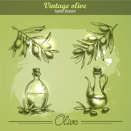 Hand drawn vintage olive vector 03