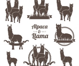 Natural wool logo with badge vector 03