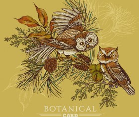 Owl with vintage cards vector 02