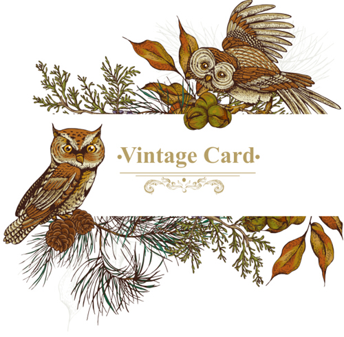 Owl with vintage cards vector 05