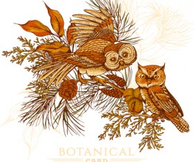 Owl with vintage cards vector 07