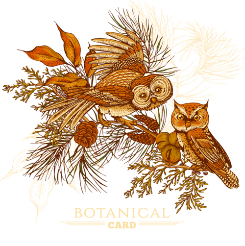 Owl with vintage cards vector 07