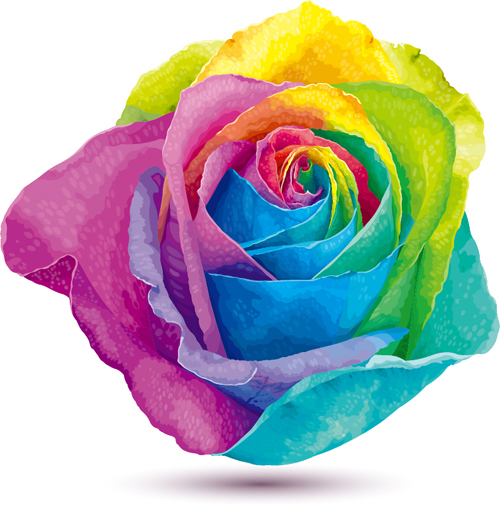 Raibow rose vector material