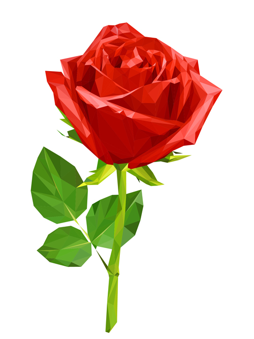 Red rose realitic vector 03