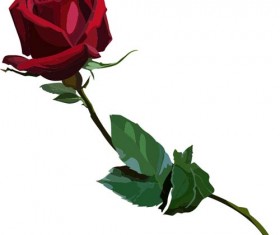 Red rose realitic vector 04