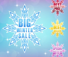 Snowflake with winter sale vector material 02