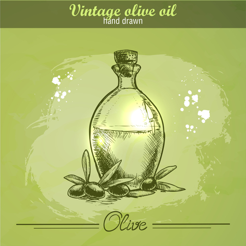 Vintage olive oil hand drawn vector 02