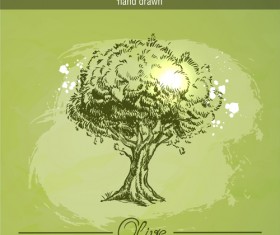 Vintage olive tree hand drawn vector 01