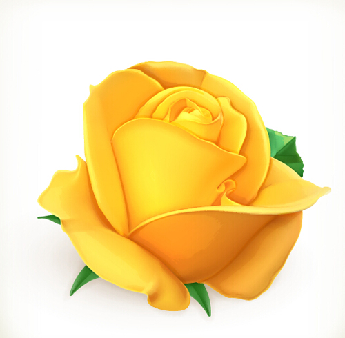 Yellow rose vector material