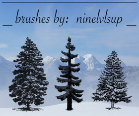 3 Kind tree Photoshop Brushes
