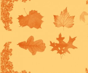 Autumn Leaves Brushset set