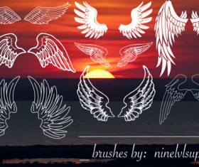Beautiful Wings Photoshop brushes