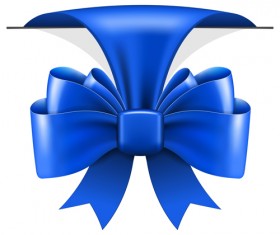 Beautiful blue bow vector