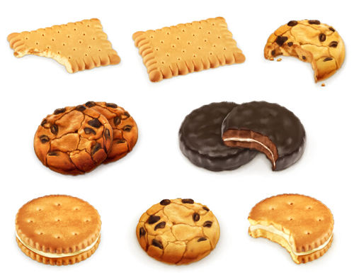 Biscuit food design vectors 04