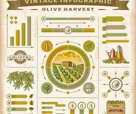 Business Infographic creative design 3801