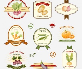 Creative vegetables labels vector graphics