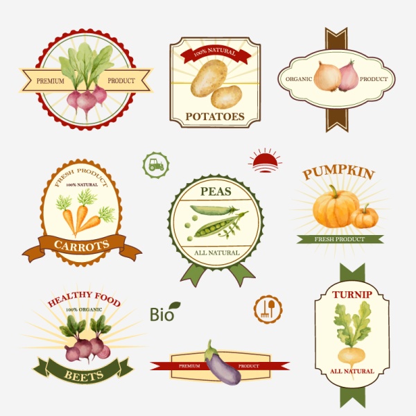Creative vegetables labels vector graphics