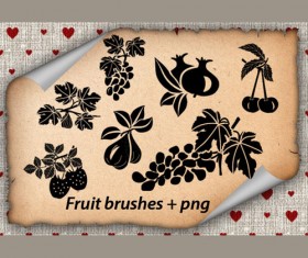 Different Fruits Photoshop Brushes