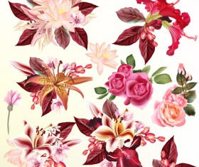 Flowers lily roseswith lotus and hibiscus vector set