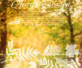 Hand drawn autumn elements with blurs background vector 04
