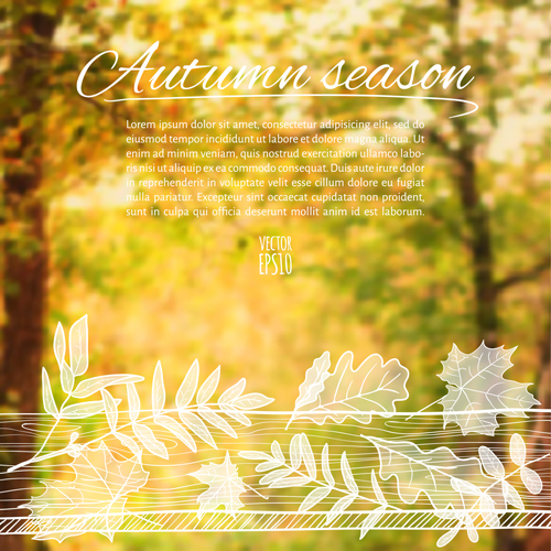Hand drawn autumn elements with blurs background vector 04