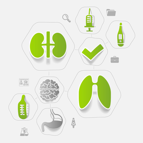 Medicine infographic with sticker vector set 12