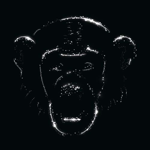 Monkey with light and black background vector 03