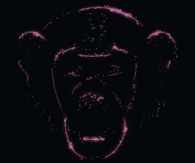 Monkey with light and black background vector 06