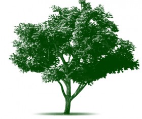 Realistic big tree brushes