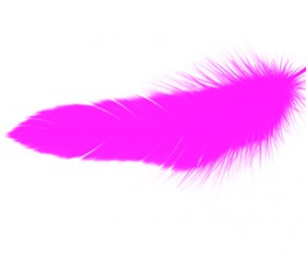 Realistic feather brushes