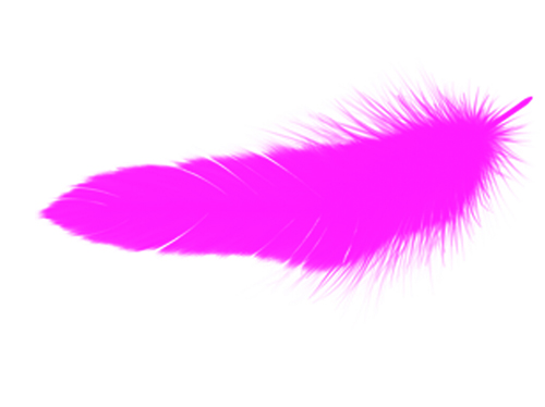 Realistic feather brushes